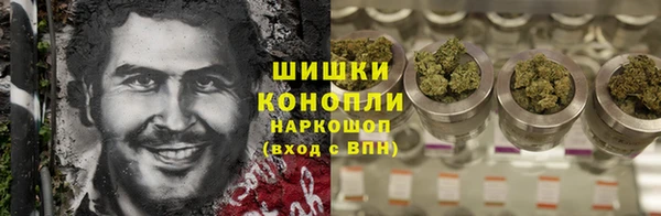 PSILOCYBIN Нягань