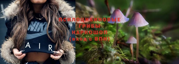 спиды Няндома