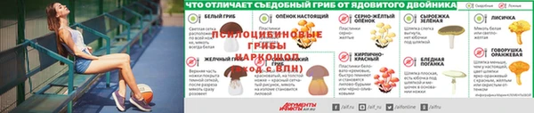 PSILOCYBIN Нягань