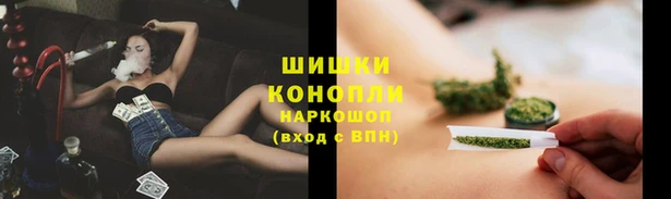 PSILOCYBIN Нягань