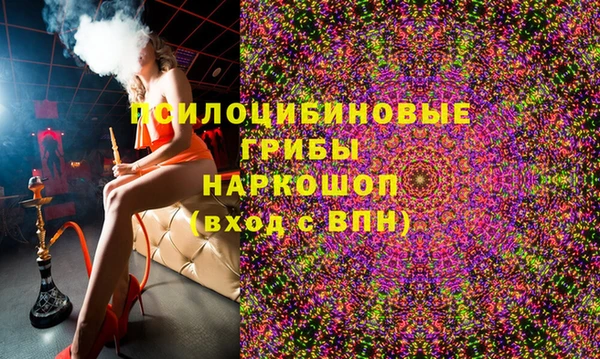 альфа пвп Новодвинск