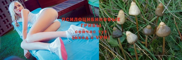 спиды Няндома